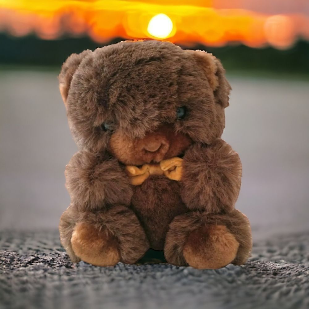 AMERICA WEGO Groom Teddy Bear Plush Vintage Stuffed Animal Korea Textured Brown. - Picture 14 of 16